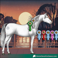 Horse Color:Brown Sabino