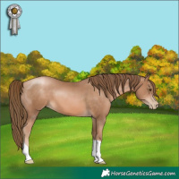 Horse Color:Liver Chestnut Pearl 