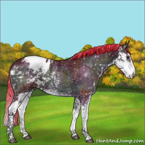 Horse Color:Watercolor Midnight Liver Red Onyx Ice Sabino Splash Appaloosa 