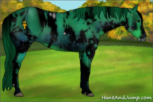 Horse Color:ERROR: UNKNOWN ANOMALY