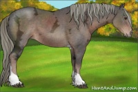 Horse Color:Liver Chestnut Ice Mushroom Tobiano