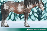 Horse Color:Brown Ice Splash