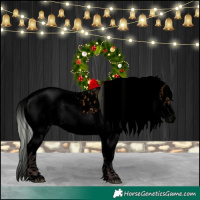 Horse Color:Void Silver Brown Sabino Splash Appaloosa 