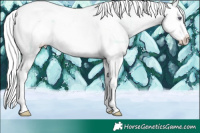Horse Color:Plaid  Liver Chestnut Chinchilla Splash Tobiano Appaloosa 