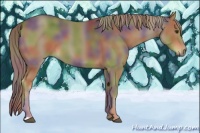 Horse Color:Nacre Chocolate Palomino 