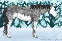 Horse Color:Brown Ice Sabino Splash Rabicano 