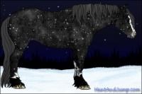 Horse Color:Black Ice Sabino Snowflake Varnish 