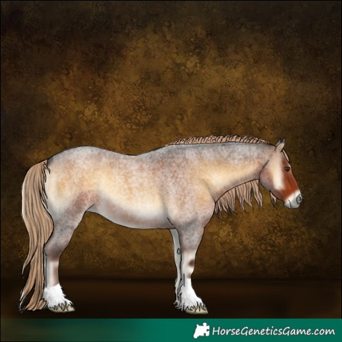 Horse Color:Chocolate Palomino Roan Onyx 