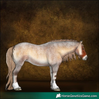 Horse Color:Chocolate Palomino Roan Onyx