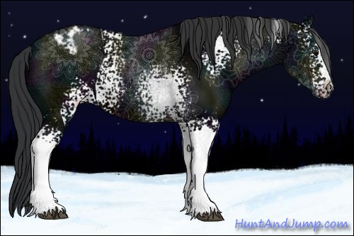 Horse Color:White Spotted Midnight Brown Ice Varnish