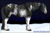 Horse Color:White Spotted Midnight Brown Ice Varnish 