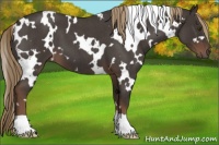 Horse Color:White Spotted Liver Red Roan 