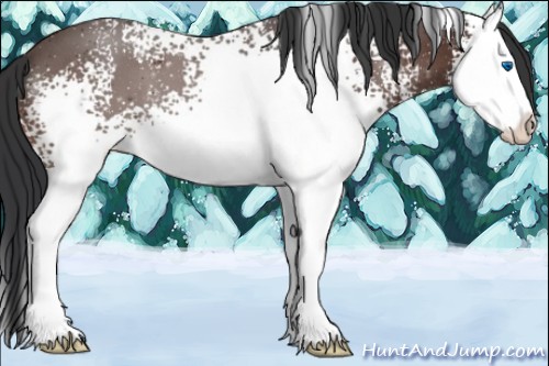 Horse Color:White Spotted Brown Roan Splash 