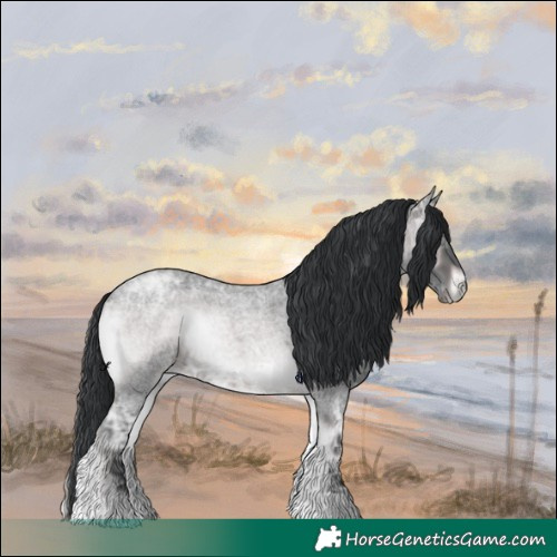 Horse Color:Platinum Brown Ice Roan Onyx 