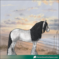 Horse Color:Platinum Brown Ice Roan Onyx 