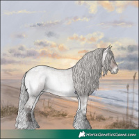 Horse Color:Platinum Silver Brown Ice Roan Onyx 