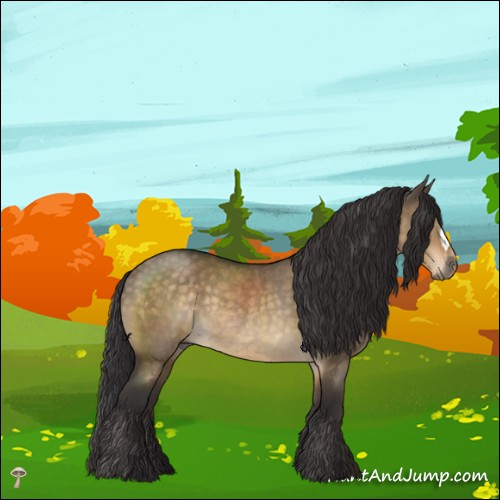 Horse Color:Buckskin Dun Mushroom Rabicano 