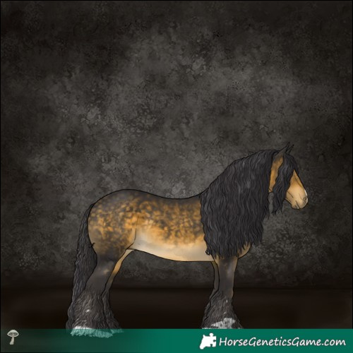Horse Color:Buckskin Mushroom Rabicano 