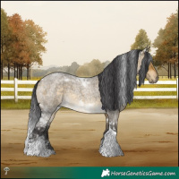 Horse Color:Buckskin Roan Dun Mushroom Tobiano Rabicano