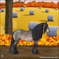 Horse Color:Brown Roan Mushroom Rabicano