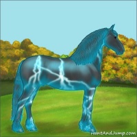 Horse Color:Thunderstruck Black 