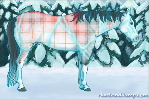 Horse Color:Thunderstruck Plaid  White Spotted Buckskin Chinchilla Dun Sabino Splash 