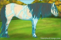 Horse Color:Thunderstruck Buckskin Dun 