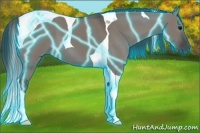 Horse Color:Thunderstruck Grullo Tobiano