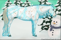 Horse Color:Thunderstruck Red Roan Appaloosa 