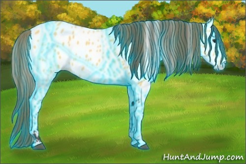 Horse Color:Thunderstruck Buckskin Near Leopard 