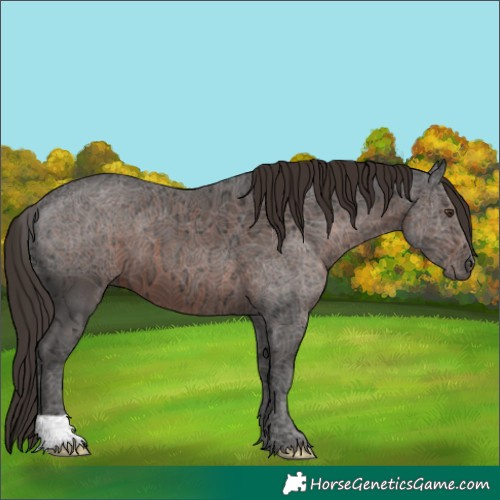 Horse Color:Liver Chestnut Ice 