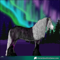 Horse Color:Void Silver Brown Chinchilla Roan Tobiano 