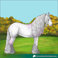 Horse Color:Gray Watercolor White Spotted Silver Brown Onyx 