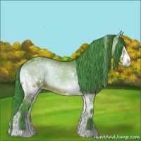 Horse Color:Watercolor White Spotted Bay Ice Onyx 