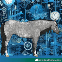 Horse Color:Gray Blue Ice Roan 