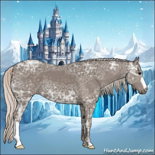Horse Color:Silver Black Ice 
