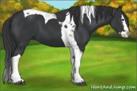 Horse Color:Black Splash Tobiano 