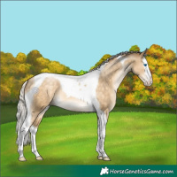 Horse Color:Silver Buckskin Pearl Sabino Splash Tobiano 