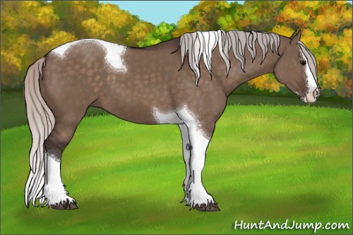 Horse Color:Silver Brown Dun Splash Tobiano 
