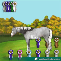 Horse Color:Liver Chestnut Mushroom 