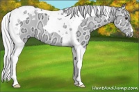 Horse Color:Silver Grullo Chinchilla Ice Onyx Tobiano 