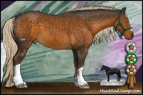 Horse Color:Chocolate Palomino 