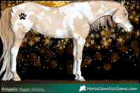Horse Color:White Spotted Smoky Black Pearl