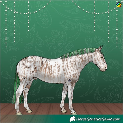 Horse Color:Painted White Spotted Liver Red Dun Tobiano  and White Spotted Liver Chestnut Tobiano Varnish 
