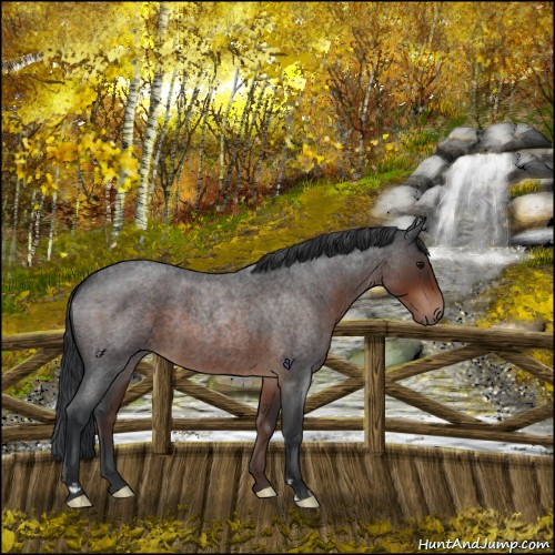Horse Color:Brown Roan 
