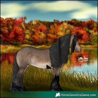 Horse Color:Void Brown Dun Tobiano 