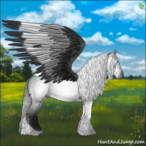 Horse Color:Gray Brown Tobiano 