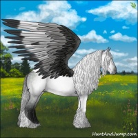 Horse Color:Gray Brown Tobiano 