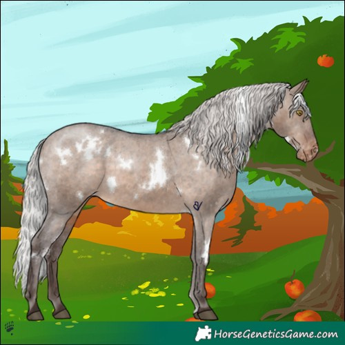 Horse Color:White Spotted Silver Brown Dun Appaloosa 
