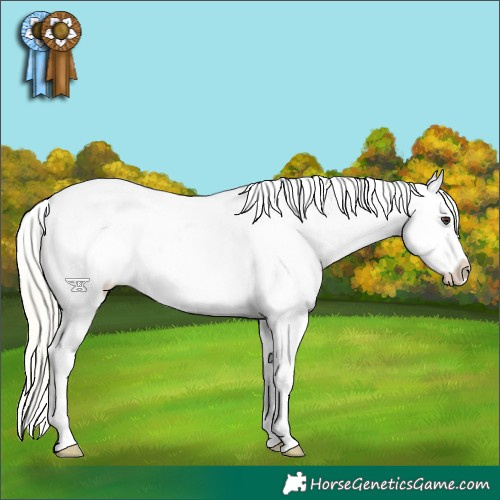 Horse Color:Liver Chestnut Mushroom Snowflake Varnish